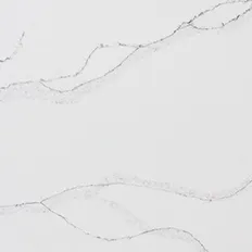 Home 29 borghini silver quartz thumb